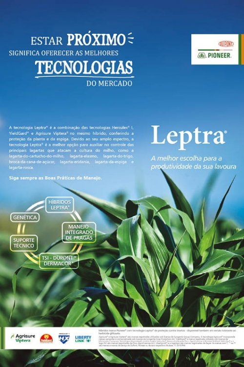 Revista Digital