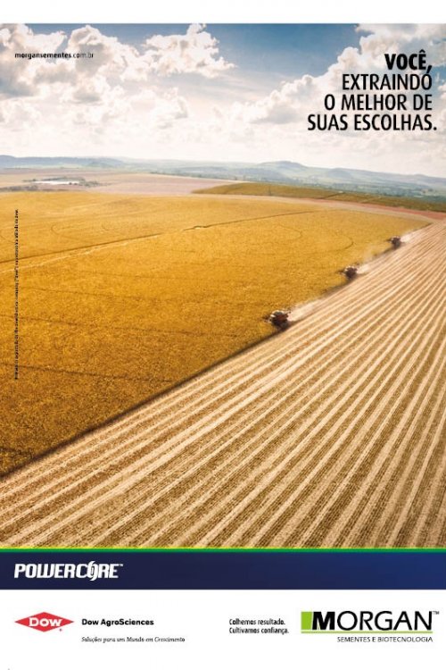 Revista Digital