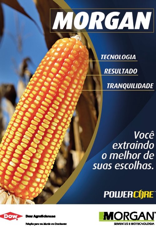 Revista Digital