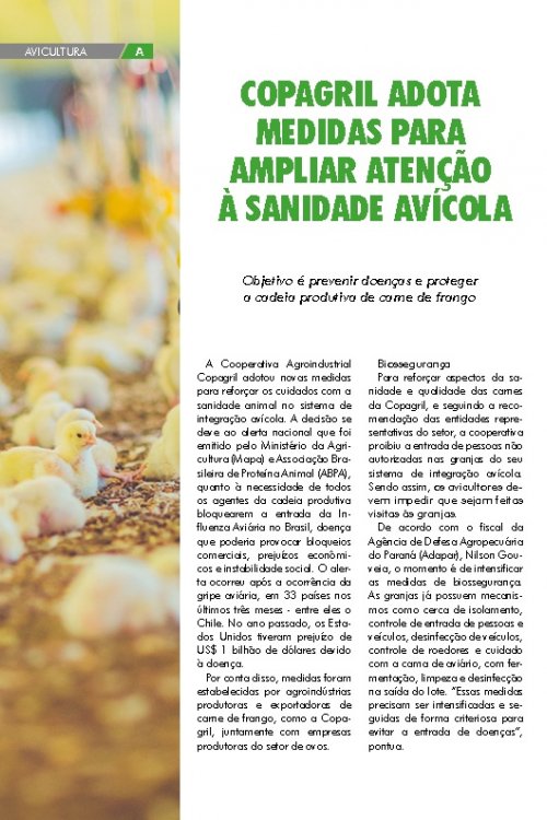 Revista Digital