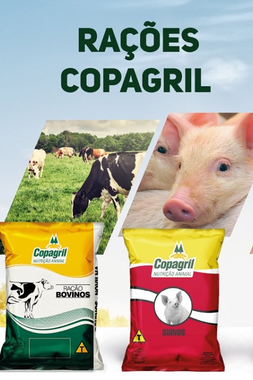 Revista Digital