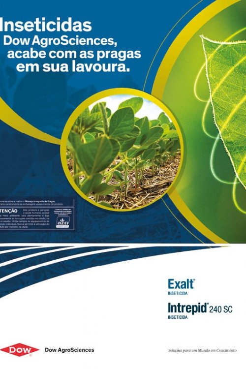Revista Digital