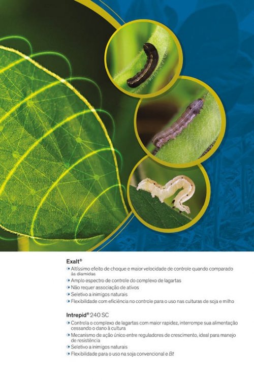 Revista Digital