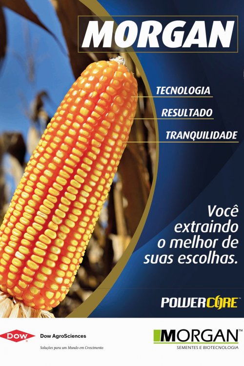 Revista Digital
