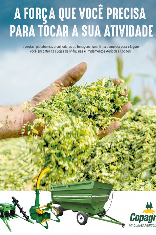 Revista Digital