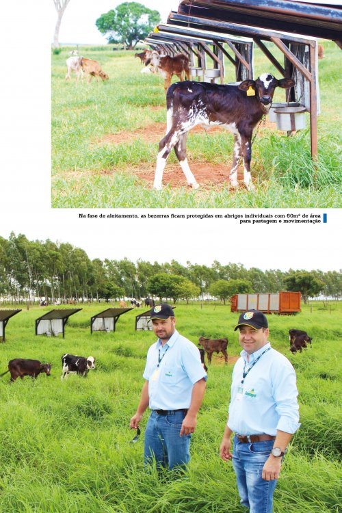 Revista Digital