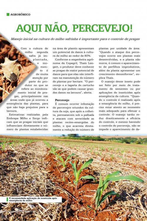 Revista Digital
