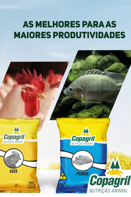 Revista Digital