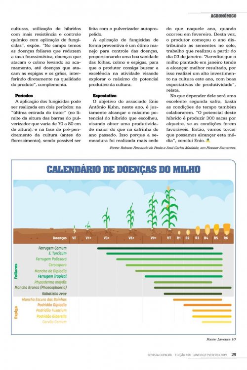 Revista Digital