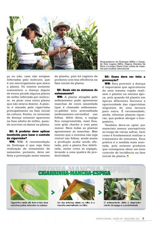 Revista Digital