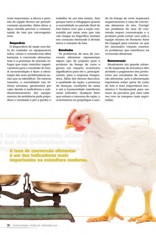 Revista Digital