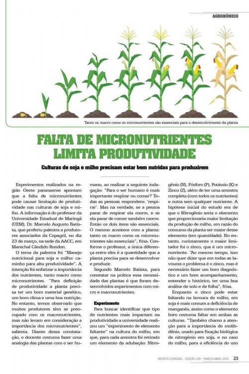 Revista Digital