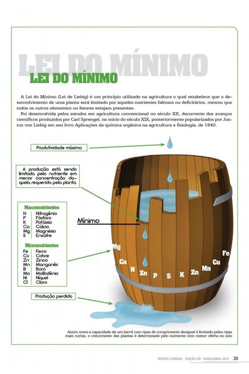 Revista Digital