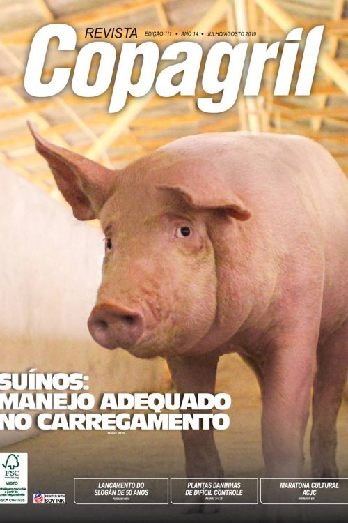 Revista Digital