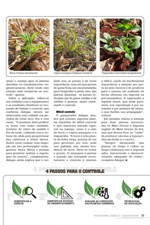 Revista Digital