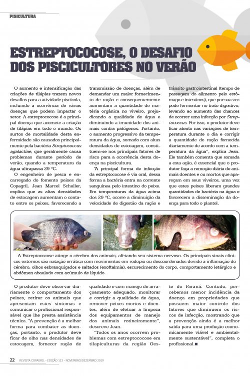 Revista Digital