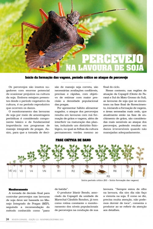Revista Digital