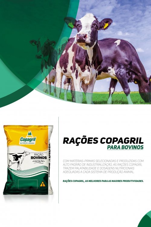 Revista Digital