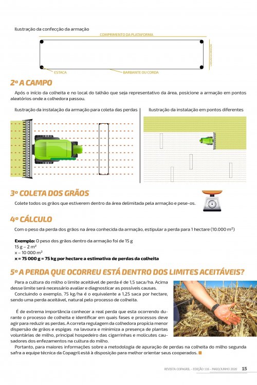 Revista Digital