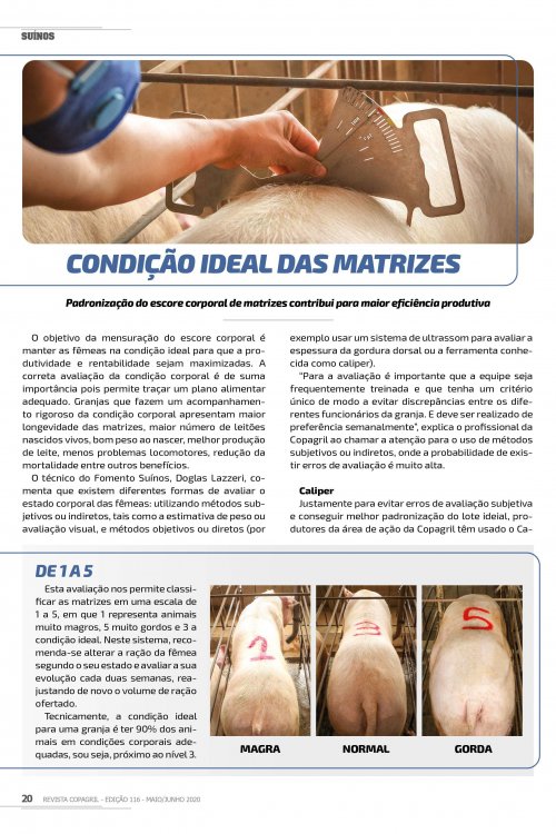 Revista Digital