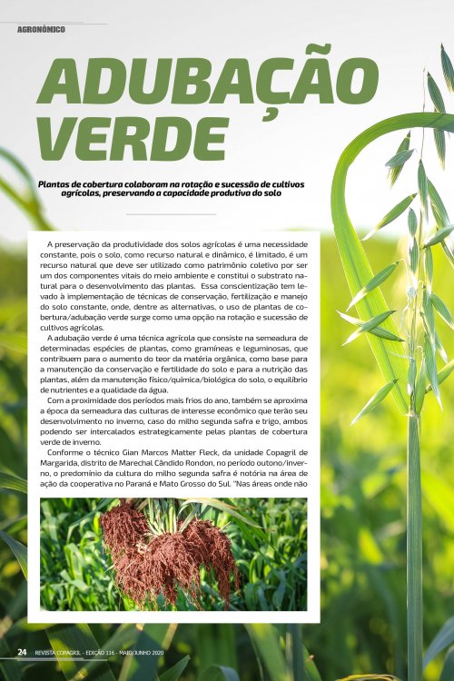 Revista Digital