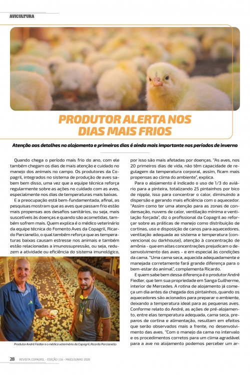 Revista Digital
