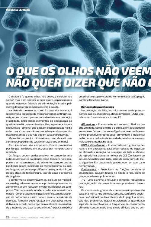 Revista Digital