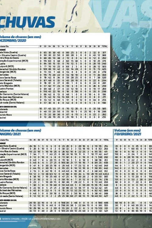 Revista Digital