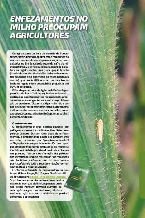 Revista Digital