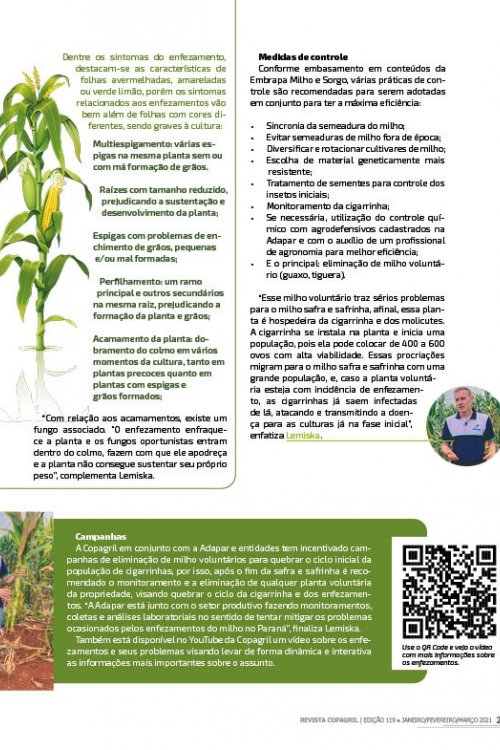 Revista Digital
