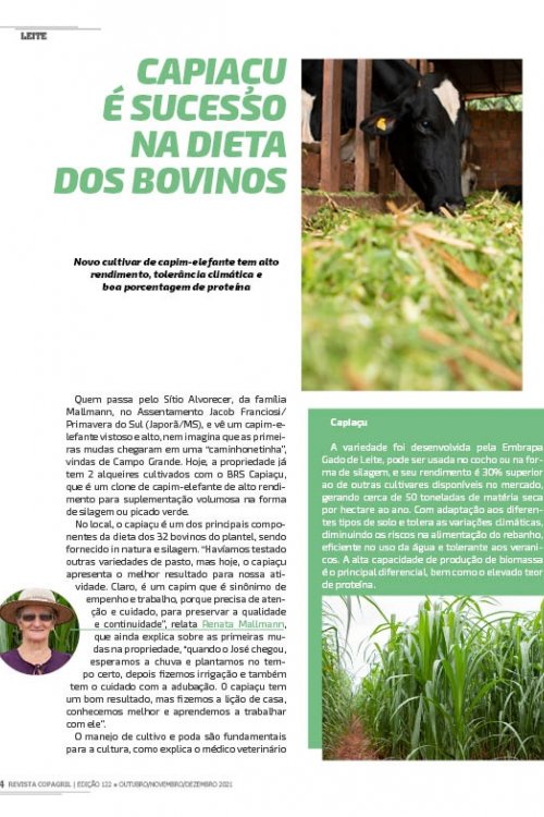 Revista Digital