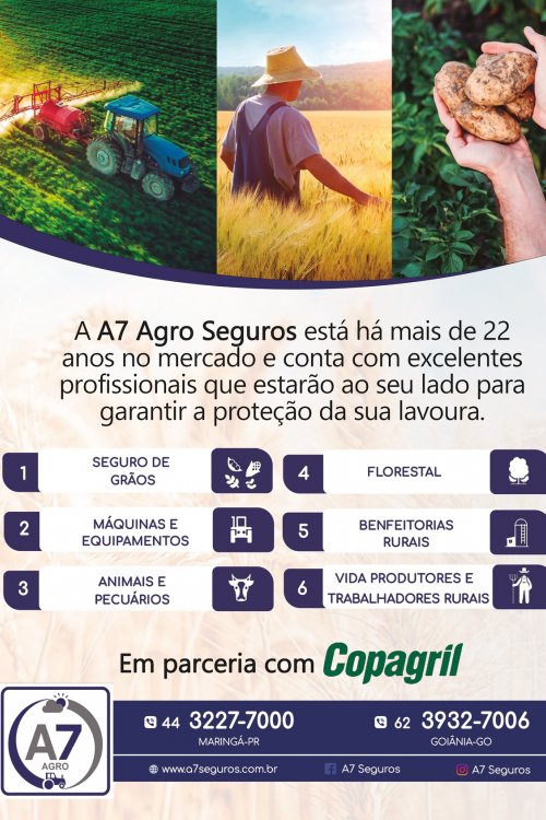 Revista Digital