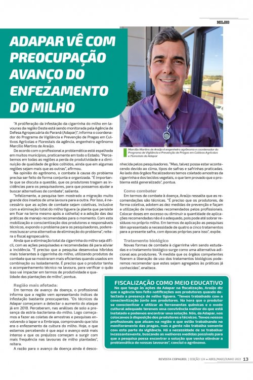 Revista Digital