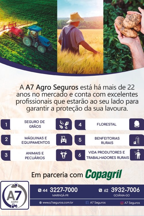 Revista Digital