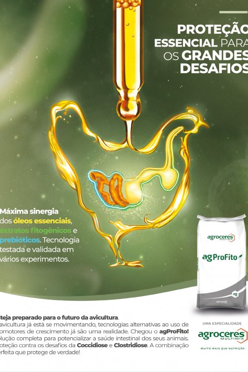 Revista Digital