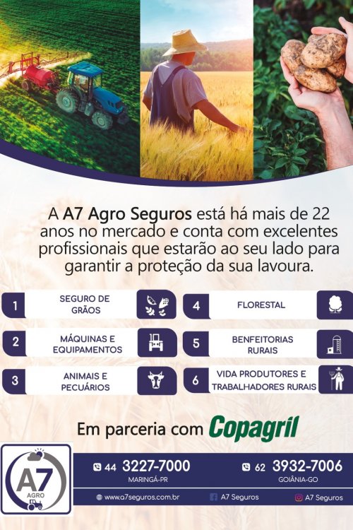 Revista Digital