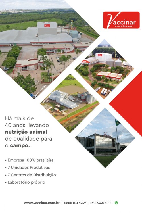 Revista Digital