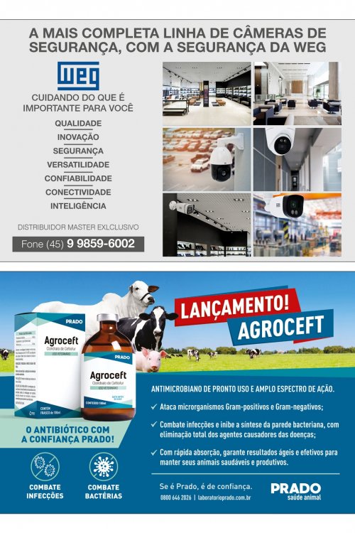 Revista Digital