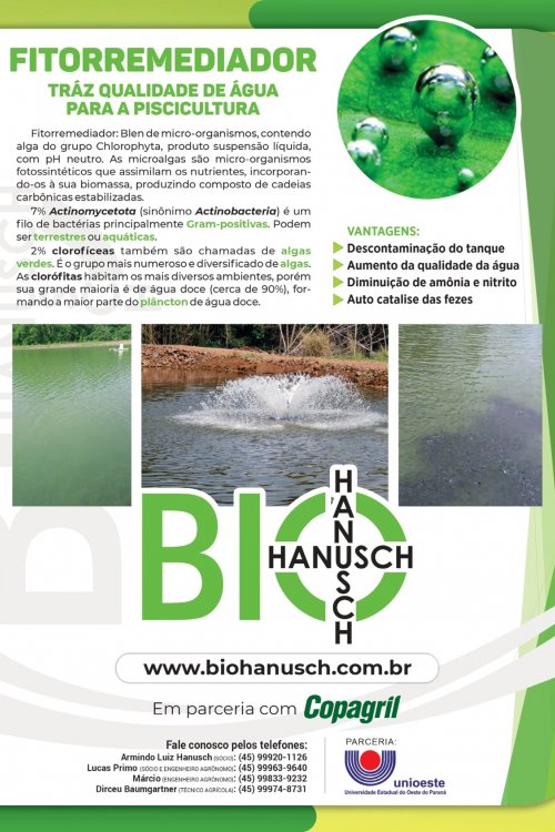 Revista Digital