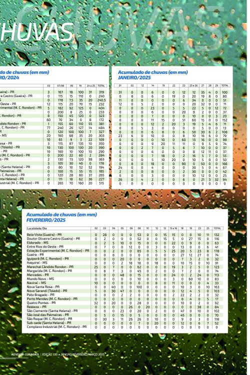 Revista Digital