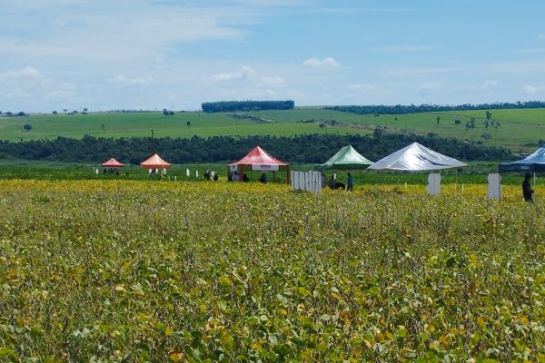 Segunda Edi&ccedil;&atilde;o do Dia de Campo Soja da Copagril re&uacute;ne produtores em Itaquira&iacute;