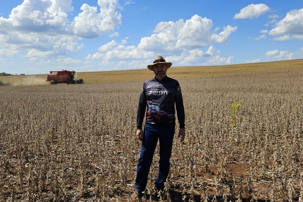 Fen&ocirc;meno clim&aacute;tico El Ni&ntilde;o antecipa a safra de soja 2023/2024