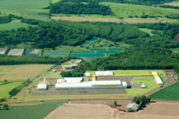 COPAGRIL: Unidade Industrial de Aves &eacute; Certificada em BRC
