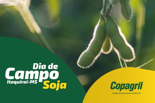 Dia de Campo Copagril em Itaquira&iacute; trar&aacute; inova&ccedil;&otilde;es para o cultivo da soja
