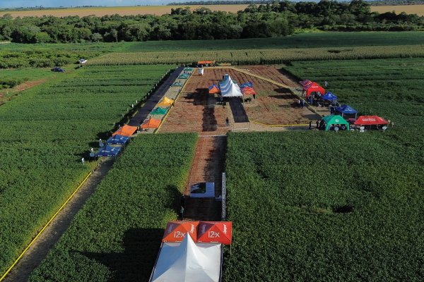 Dias de Campo da Copagril fortalecem transfer&ecirc;ncia de tecnologia no Paran&aacute; e no Mato Grosso do Sul