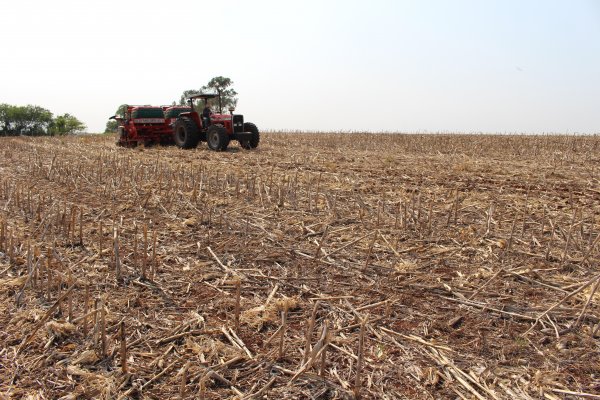 Plantio de soja safrinha n&atilde;o ser&aacute; mais permitido a partir de janeiro de 2017