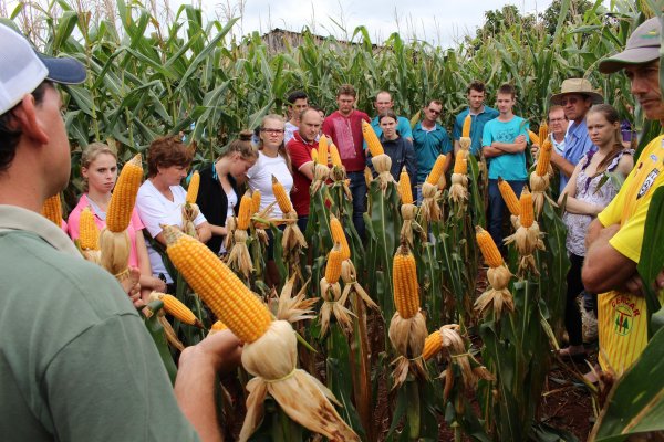 Comit&ecirc;s de jovens realizam dias de campo dos projetos agr&iacute;colas