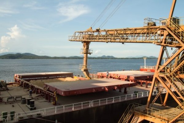 Copagril est&aacute; entre as maiores exportadoras do Paran&aacute;