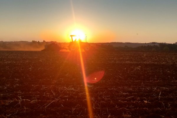 Plantio de soja do Concurso de Projetos Agr&iacute;colas da ACJC chega &agrave; reta final