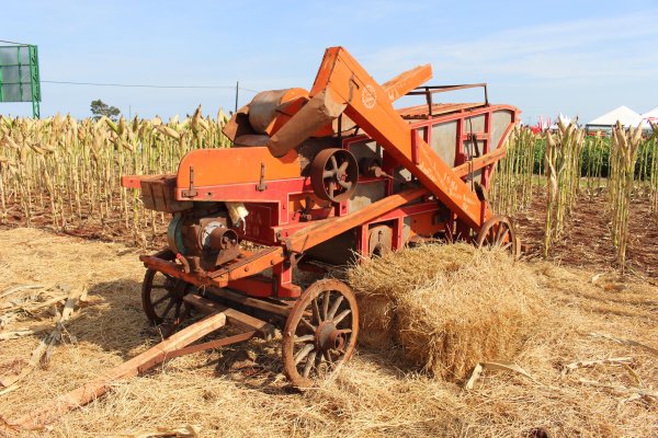 Dia de Campo Copagril: hist&oacute;ria da agricultura ser&aacute; representada por trilhadeira de 1974